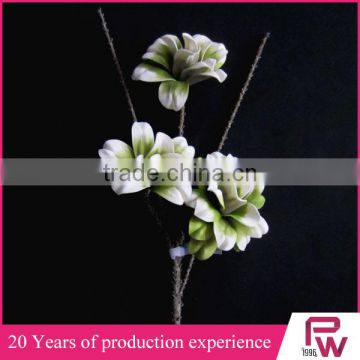 Hot Sale Wedding Decoration natural preserved flower for home decorations