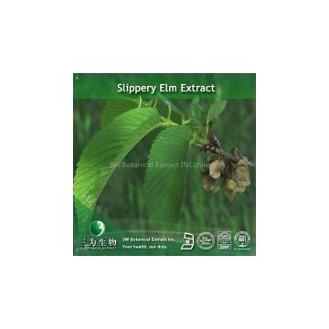 slippery elm bark Extract