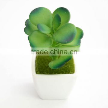 China Factory best price mini plants