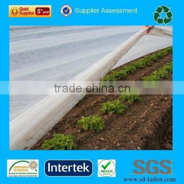 UV stabilised Polypropylene Spun bonded non-woven for crop cover, crop protection