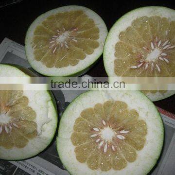 Fresh pomelo