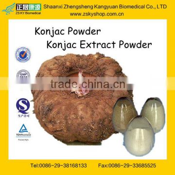 Natural Konjac Root Extract Powder with High Quality