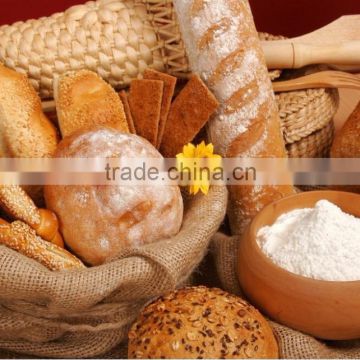 China hot sale 100 TPD wheat flour mill machine