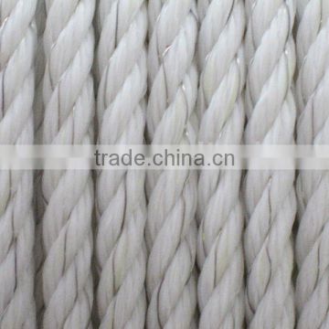 electric fence wire
