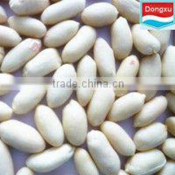 blanched peanut kernels 25/29