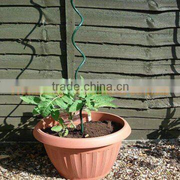 Electro galvanized /pvc coated Tomato spiral plant support(5.5mm-8mm)