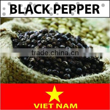 Black Pepper 500g/L