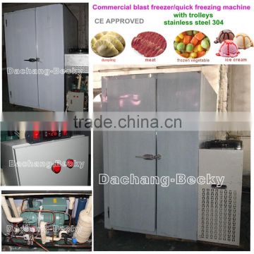 Commerical blast freezer/quick freezing machine CE approved with trolleys for food