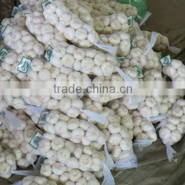 Chinese jinxiang pure normal general white fresh garlic