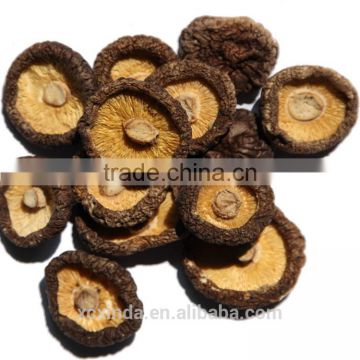 dried mushroom,dried smooth mushroom,dried brown smooth mushroom 02