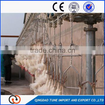 Chicken slaughter house/poultry killing equipments producing