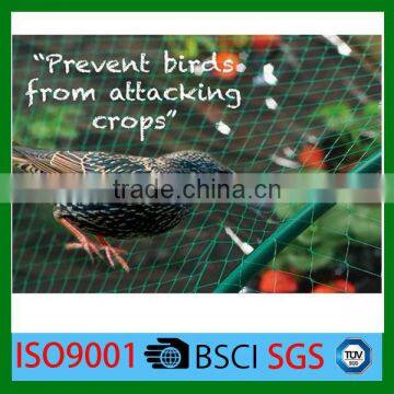 Hot Sale Plastic HDPE agriculture anti-bird net