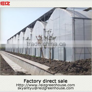 China greenhouse fiberglass panels clear
