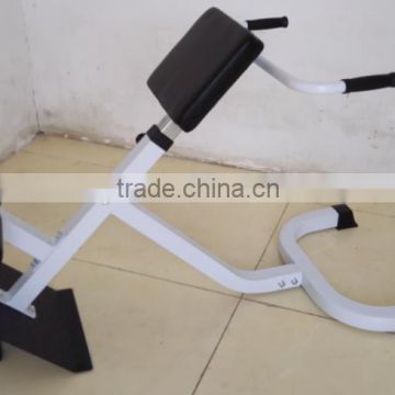 45 Degree Hyperextension/ Back Extension/ Home Use