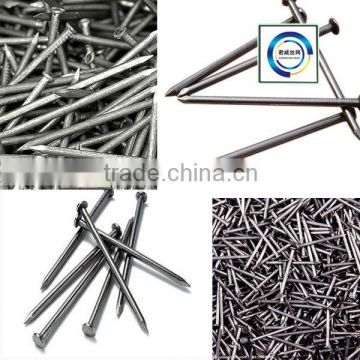 Best Selling Cheap Galvanized Nails Common Nails Price From Anping