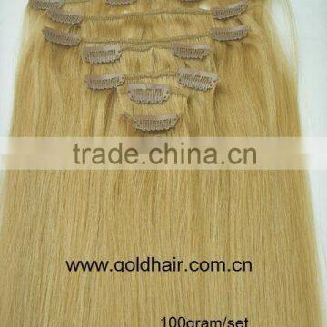 Clips In Hair / Clips On Human Hair Extensions / Clip-in