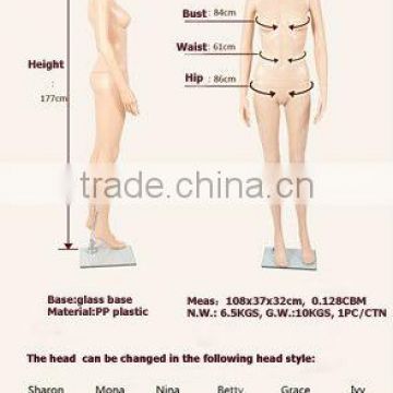 various fashion and sexy plastic dress form on sale,from professional manufacturer in China