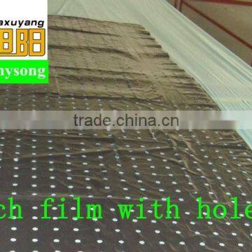 plastic agricultural perforation film for punch 1cm hole