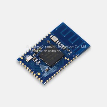 Bluetooth module with small size and low power consumption