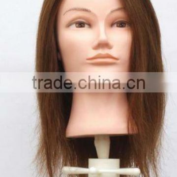 2012 Hot Sale Hair Salon Training Head