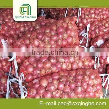 good brand chinese fresh onion with low price