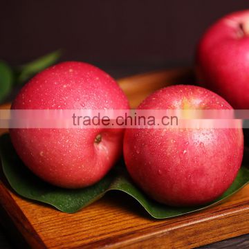 2016 New crop Gansu Tianshui Huaniu apple