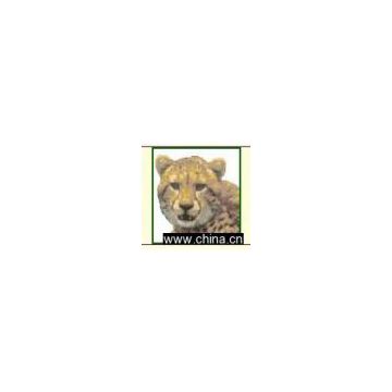 Embroidery Crafts African Wildlife Cheetah Face