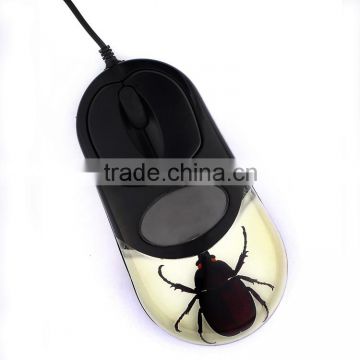 Newly computer mouse with real insect