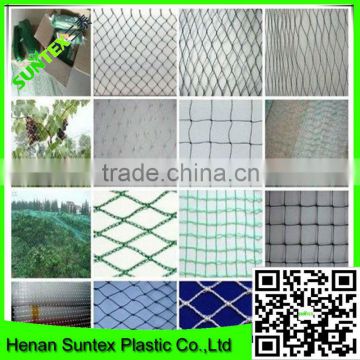 china factory produce high quality 100% virgin HDPE grape anti bird net / nylon anti bird netting with competitive price