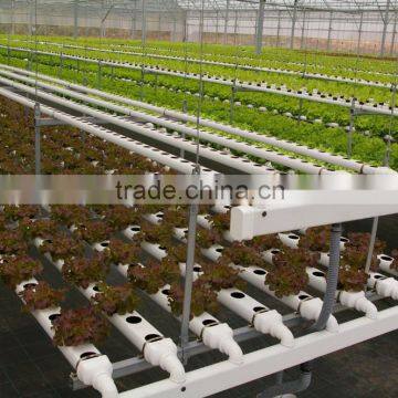 Hydroponics and Fertigation Controllers for Hydroponic Greenhouses