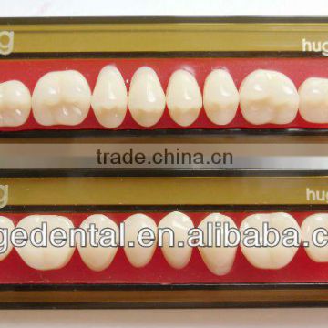 4 layers acrylice teeth Kaijing