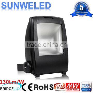 COB Bridgelux Penguins Led Flood Light 10w 30w 50w 70w 80w 100w