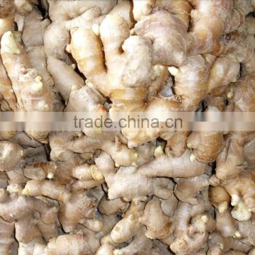 market prices for ginger/ yellow dry ginger dried ginger pieces