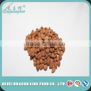 Top quality organic chinese bitter apricot seeds