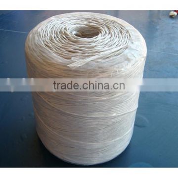 Plastic rope for packing