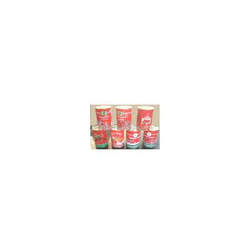 Tomato ketchup in can brix 28-30,22-24,18-20