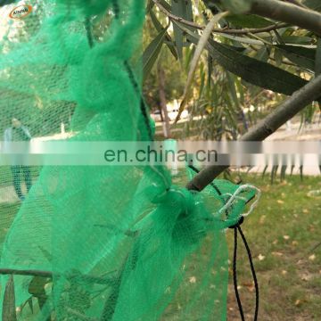 date plastic bag with strong black rope