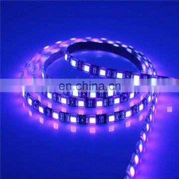 UV Ultra Violet 300 LED Strip Light 5050 SMD DC 12V 5M 60 LED / Meter