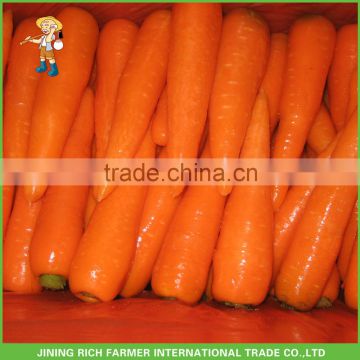 Fresh Carrots Hot For Sales