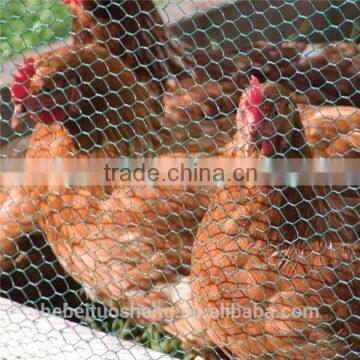 (Anping Manufacturer) Anping Hexagonal Mesh/Poultry Netting/Chicken Wire (Chicken/Rabbit/Poultry Wire)