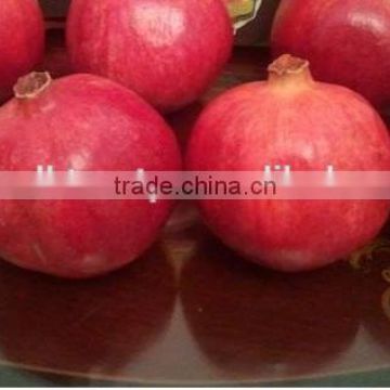 Fresh Pomegranate For Sale