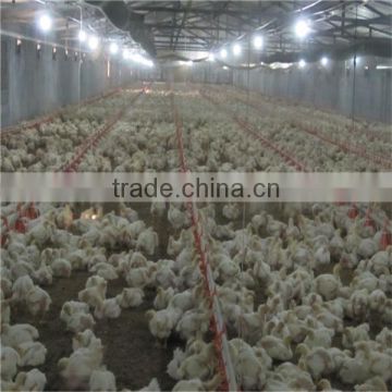 automatic broiler farming system