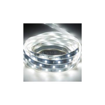 IP65 Waterproof Flexible LED Strip Light (5060/5730/2835/3528)