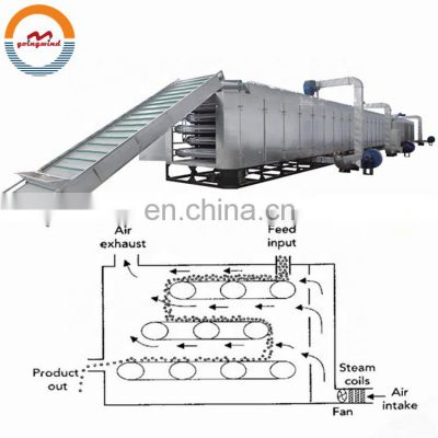 Hot sale automatic fruit and vegetable mesh belt dryer machine auto drying tunnel for food with cheap price