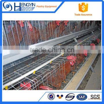 Superior quality battery cages for layer poultry