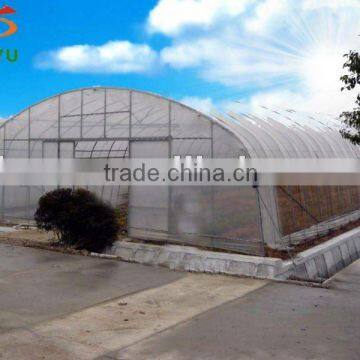 Economical single tunnel greenhouse