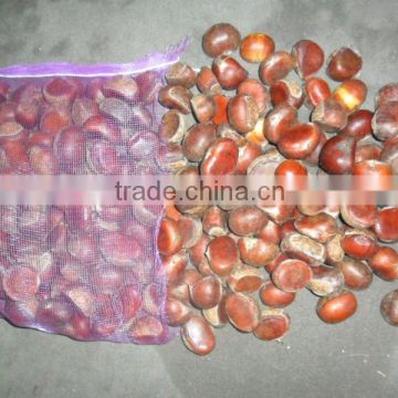 half-dried chestnut in china