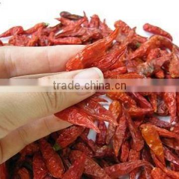RED CHILLI FROM VIETNAM
