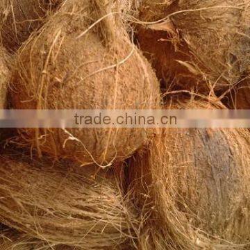 semi husked/natural organic coconuts- Mature coconuts