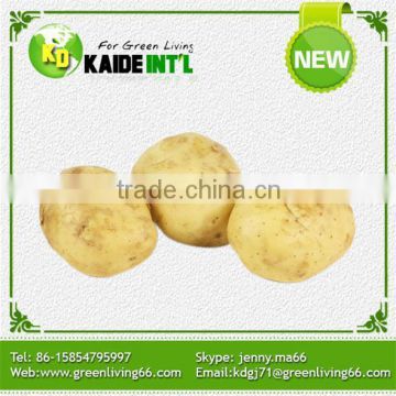 Atlantic Potato In China